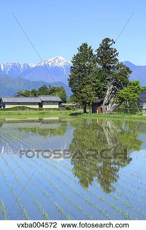 Nagano Prefecture, Japan View Large Photo Image Stock Image - Nagano Prefecture, Japan. Fotosearch