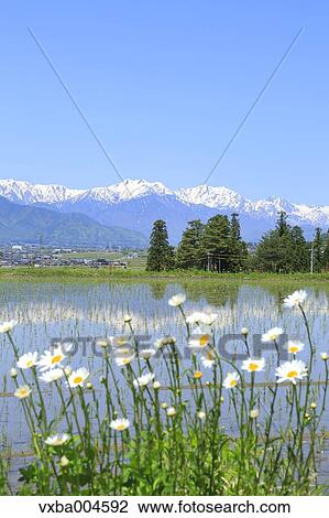 Nagano Prefecture, Japan View Large Photo Image Stock Image - Nagano Prefecture, Japan. Fotosearch