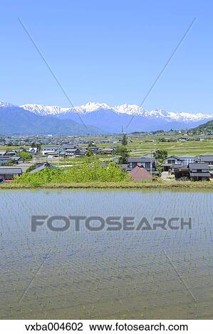 Nagano Prefecture, Japan View Large Photo Image Stock Image - Nagano Prefecture, Japan. Fotosearch