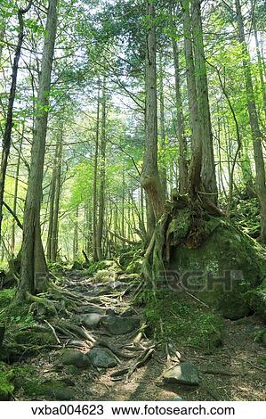 Nagano Prefecture, Japan View Large Photo Image Stock Image - Nagano Prefecture, Japan. Fotosearch