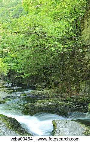 Stock Image - Nagano Prefecture, Japan. Fotosearch