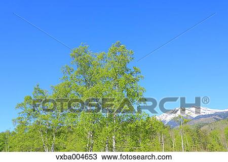 Stock Image - Nagano Prefecture, Japan. Fotosearch