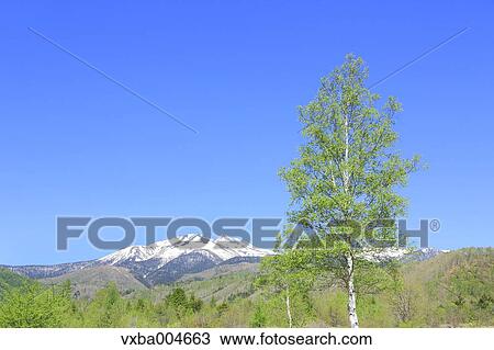 Stock Image - Nagano Prefecture, Japan. Fotosearch
