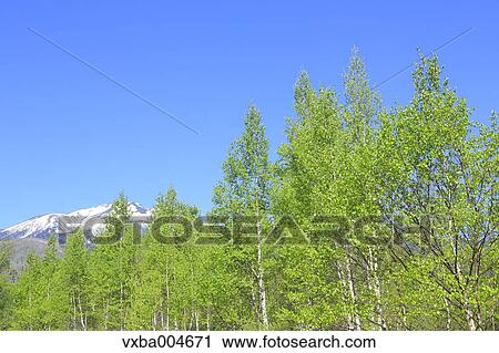 Nagano Prefecture, Japan View Large Photo Image Stock Image - Nagano Prefecture, Japan. Fotosearch