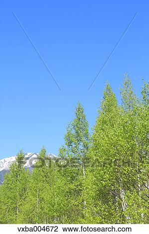 Stock Image - Nagano Prefecture, Japan. Fotosearch