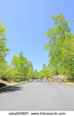 Nagano Prefecture, Japan View Large Photo Image Stock Image - Nagano Prefecture, Japan. Fotosearch