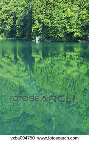 Nagano Prefecture, Japan View Large Photo Image Stock Image - Nagano Prefecture, Japan. Fotosearch