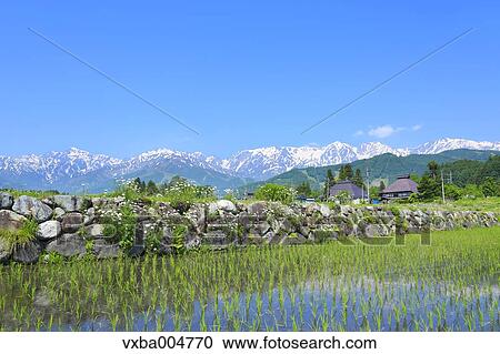 Nagano Prefecture, Japan View Large Photo Image Stock Image - Nagano Prefecture, Japan. Fotosearch