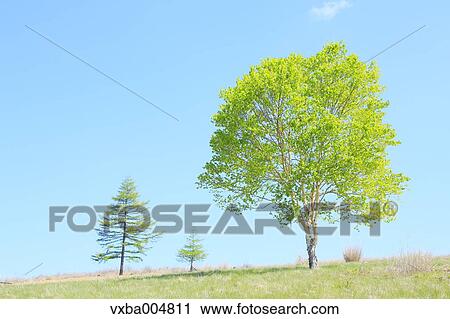 Nagano Prefecture, Japan View Large Photo Image Stock Image - Nagano Prefecture, Japan. Fotosearch