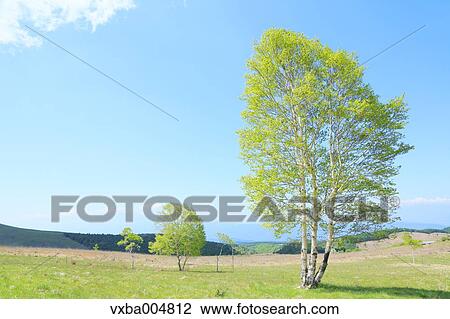 Nagano Prefecture, Japan View Large Photo Image Stock Image - Nagano Prefecture, Japan. Fotosearch