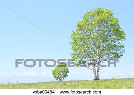 Stock Image - Nagano Prefecture, Japan. Fotosearch