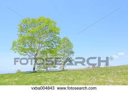 Nagano Prefecture, Japan View Large Photo Image Stock Image - Nagano Prefecture, Japan. Fotosearch
