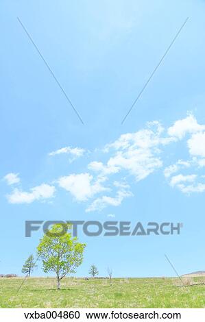 Nagano Prefecture, Japan View Large Photo Image Stock Image - Nagano Prefecture, Japan. Fotosearch