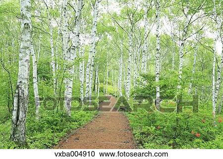 Stock Image - Nagano Prefecture, Japan. Fotosearch
