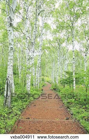 Stock Image - Nagano Prefecture, Japan. Fotosearch