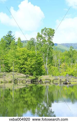 Nagano Prefecture, Japan View Large Photo Image Stock Image - Nagano Prefecture, Japan. Fotosearch