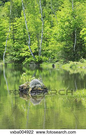 Nagano Prefecture, Japan View Large Photo Image Stock Image - Nagano Prefecture, Japan. Fotosearch