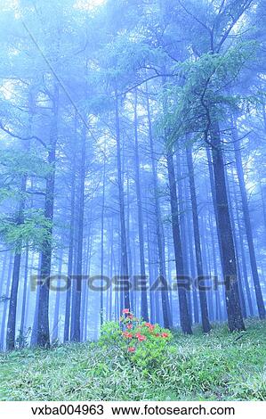 Nagano Prefecture, Japan View Large Photo Image Stock Image - Nagano Prefecture, Japan. Fotosearch