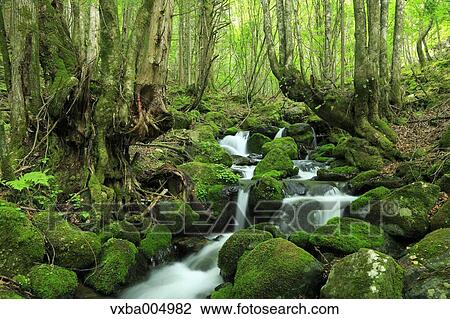 Nagano Prefecture, Japan View Large Photo Image Stock Image - Nagano Prefecture, Japan. Fotosearch