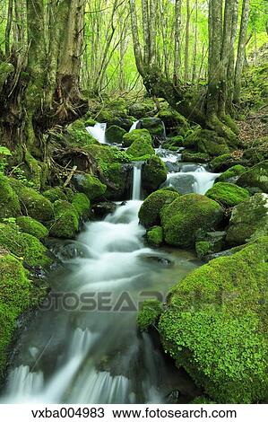 Nagano Prefecture, Japan View Large Photo Image Stock Image - Nagano Prefecture, Japan. Fotosearch