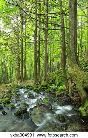 Nagano Prefecture, Japan View Large Photo Image Stock Image - Nagano Prefecture, Japan. Fotosearch