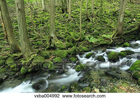 Nagano Prefecture, Japan View Large Photo Image Stock Image - Nagano Prefecture, Japan. Fotosearch