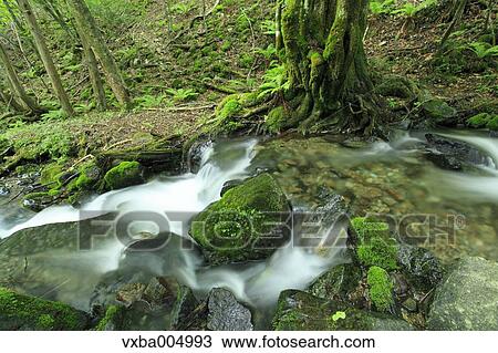 Stock Image - Nagano Prefecture, Japan. Fotosearch