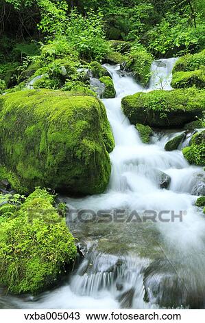 Stock Image - Nagano Prefecture, Japan. Fotosearch