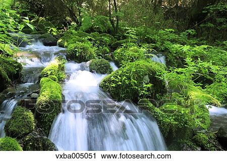 Nagano Prefecture, Japan View Large Photo Image Stock Image - Nagano Prefecture, Japan. Fotosearch