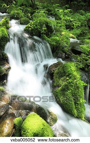 Nagano Prefecture, Japan View Large Photo Image Stock Image - Nagano Prefecture, Japan. Fotosearch