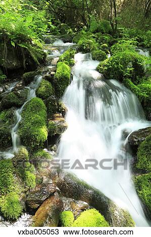 Nagano Prefecture, Japan View Large Photo Image Stock Image - Nagano Prefecture, Japan. Fotosearch