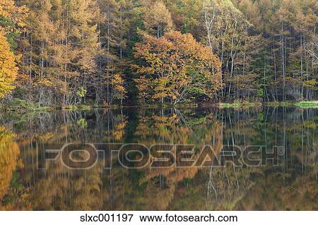 Stock Photo - Nagano Prefecture, Japan. Fotosearch