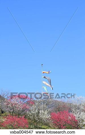 Nagano Prefecture, Japan View Large Photo Image Stock Photo - Nagano Prefecture, Japan. Fotosearch