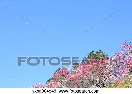 Nagano Prefecture, Japan View Large Photo Image Stock Photo - Nagano Prefecture, Japan. Fotosearch