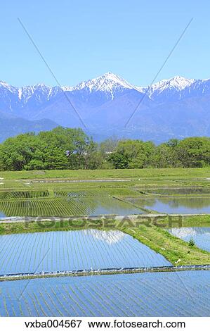 Stock Photo - Nagano Prefecture, Japan. Fotosearch