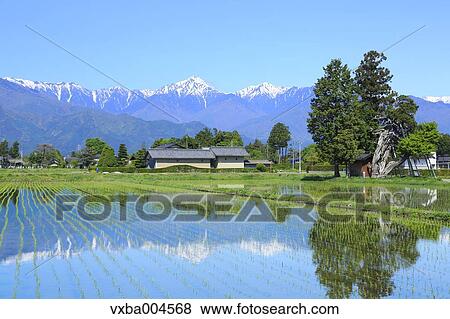 Nagano Prefecture, Japan View Large Photo Image Stock Photo - Nagano Prefecture, Japan. Fotosearch