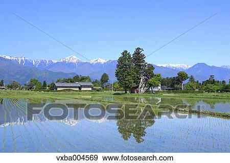 Nagano Prefecture, Japan View Large Photo Image Stock Photo - Nagano Prefecture, Japan. Fotosearch
