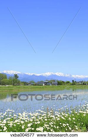 Nagano Prefecture, Japan View Large Photo Image Stock Photo - Nagano Prefecture, Japan. Fotosearch