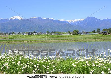 Nagano Prefecture, Japan View Large Photo Image Stock Photo - Nagano Prefecture, Japan. Fotosearch