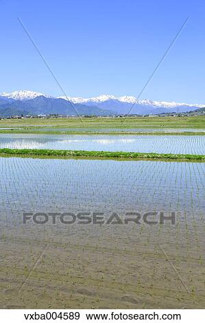 Nagano Prefecture, Japan View Large Photo Image Stock Photo - Nagano Prefecture, Japan. Fotosearch