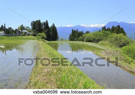 Nagano Prefecture, Japan View Large Photo Image Stock Photo - Nagano Prefecture, Japan. Fotosearch