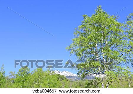 Nagano Prefecture, Japan View Large Photo Image Stock Photo - Nagano Prefecture, Japan. Fotosearch