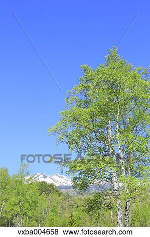 Stock Photo - Nagano Prefecture, Japan. Fotosearch