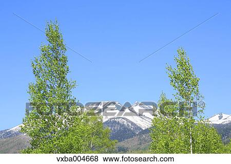 Nagano Prefecture, Japan View Large Photo Image Stock Photo - Nagano Prefecture, Japan. Fotosearch
