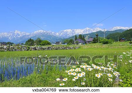 Nagano Prefecture, Japan View Large Photo Image Stock Photo - Nagano Prefecture, Japan. Fotosearch