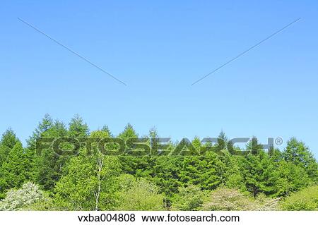 Nagano Prefecture, Japan View Large Photo Image Stock Photo - Nagano Prefecture, Japan. Fotosearch