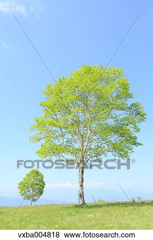 Nagano Prefecture, Japan View Large Photo Image Stock Photo - Nagano Prefecture, Japan. Fotosearch