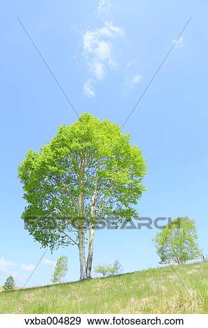 Nagano Prefecture, Japan View Large Photo Image Stock Photo - Nagano Prefecture, Japan. Fotosearch