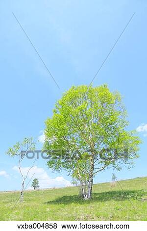 Nagano Prefecture, Japan View Large Photo Image Stock Photo - Nagano Prefecture, Japan. Fotosearch