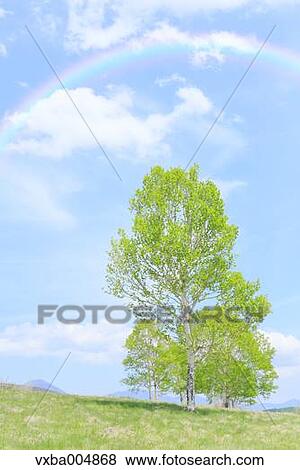 Stock Photo - Nagano Prefecture, Japan. Fotosearch